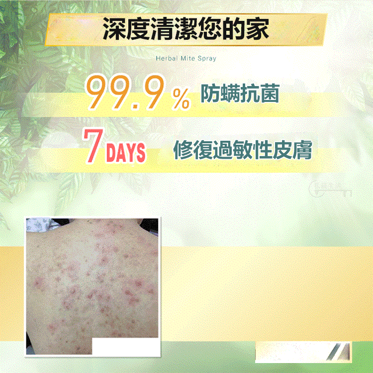 強效除蟎噴劑 強效除蟎噴劑